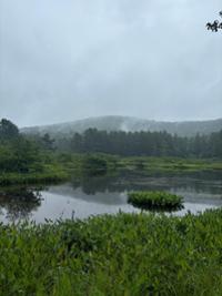 Conservation Commission