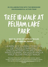 Tree ID Walk