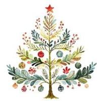 Readsboro Lions Club Senior Christmas Party-FREE