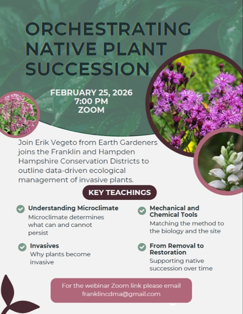 Orchestrating Native Plant Succession