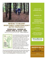 Wood Walk