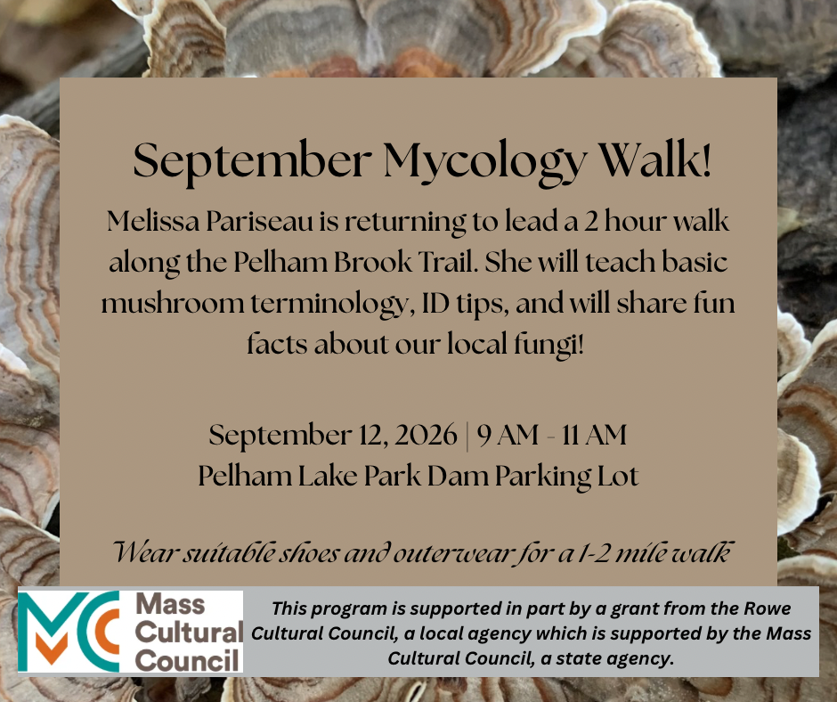 Mycology Walk
